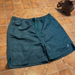 Adidem Asterisks Teal Nylon Mesh Lined Shorts Large
